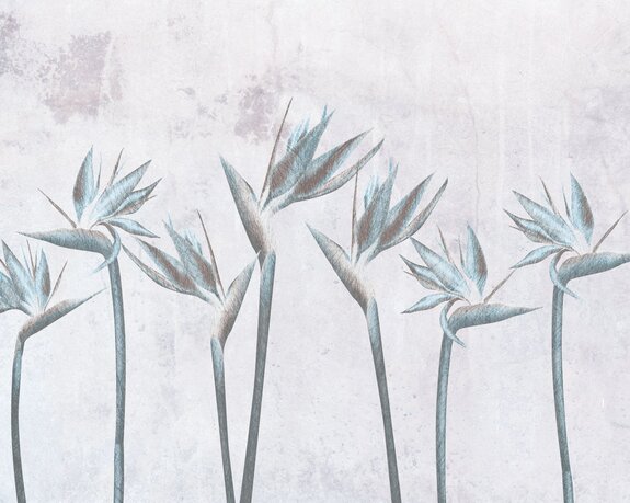 Fleurs de strelitzia oiseau de paradis sur fond de béton