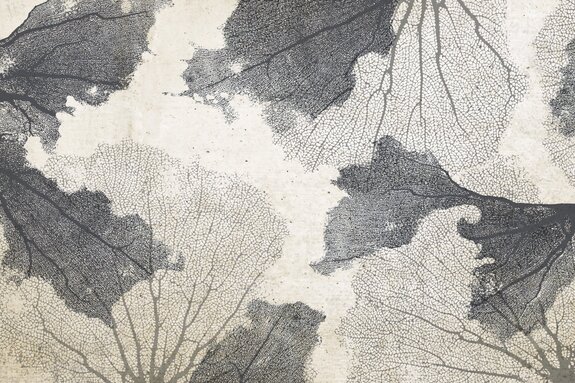 Coraux gris sur fond effet béton