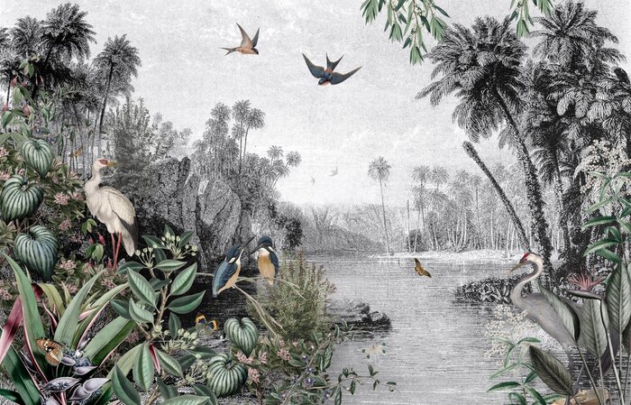 Paysage tropical avec des oiseaux dans la jungle