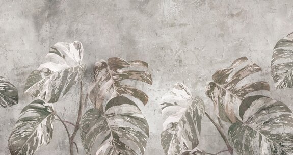 Grandes feuilles de monstera sur béton, motif botanique