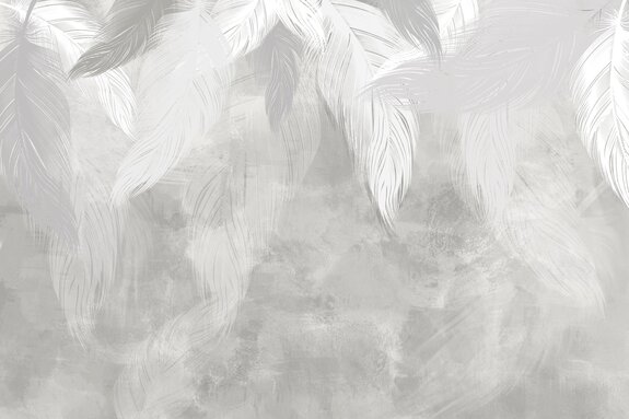 Plumes sur fond de béton gris