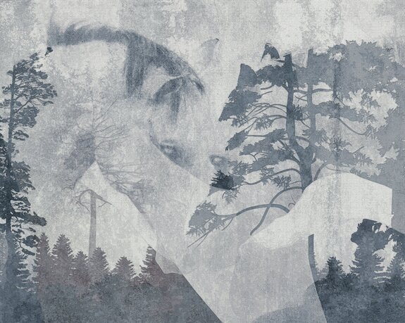 Chevaux dans un paysage forestier, portrait abstrait