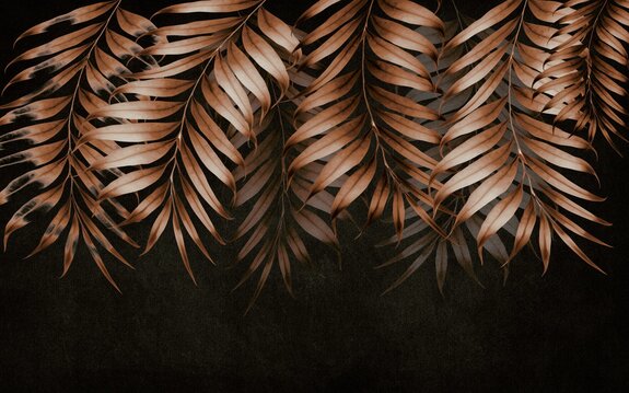 Feuilles d&#39;automne sur fond noir