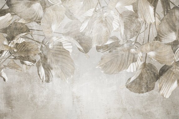 Feuilles tropicales sur béton dans des tons de gris