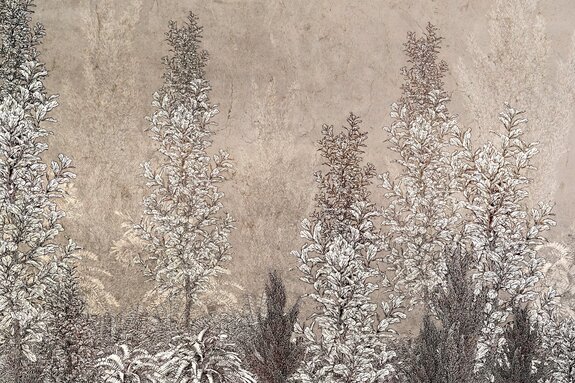 Plantes sur fond de béton beige