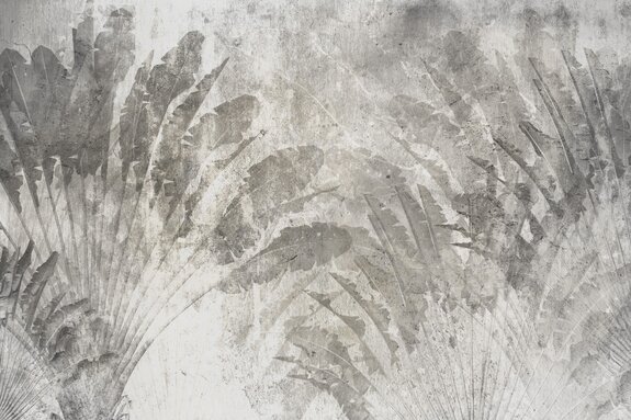 Grandes feuilles tropicales grises sur béton