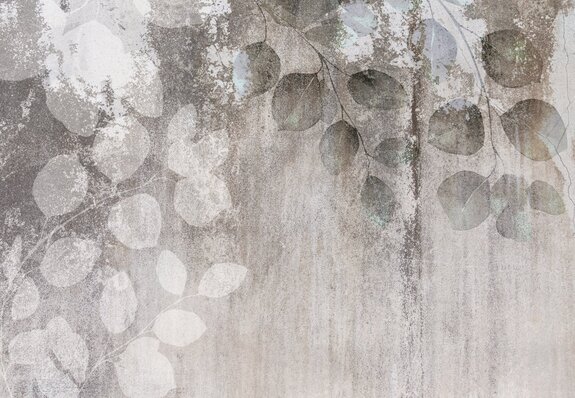 Branches d&#39;eucalyptus avec des feuilles sur un fond en béton