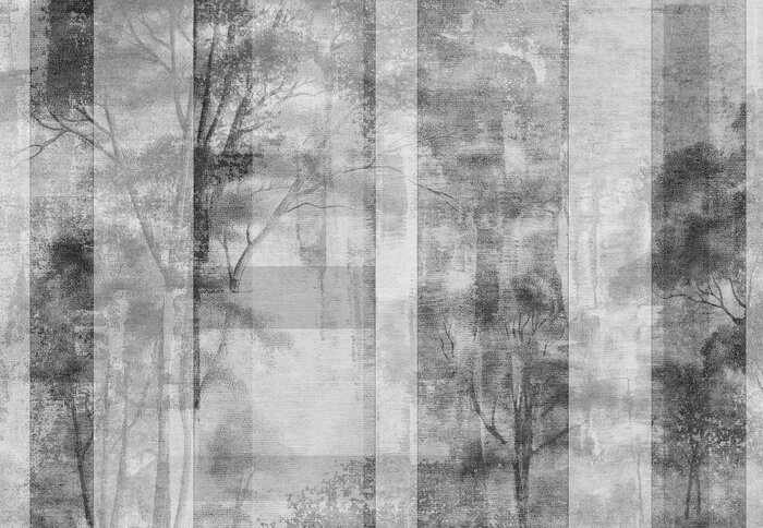 Paysage forestier avec des arbres en noir et blanc