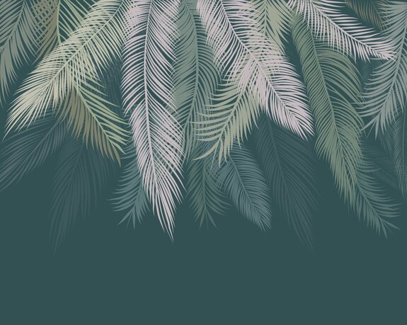 Feuilles de palmier suspendues au-dessus d&#39;un fond vert