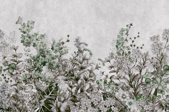 Plantes sur fond de béton gris