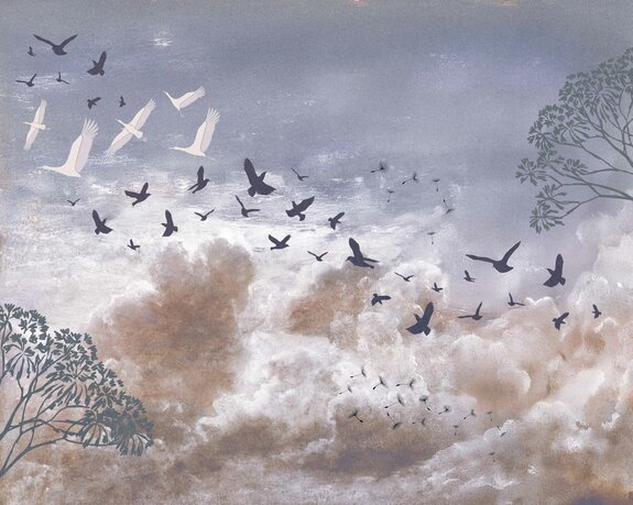 Oiseaux et graines de pissenlit contre les nuages