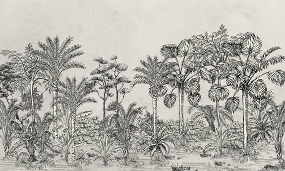 Paysage de forêt tropicale monochrome