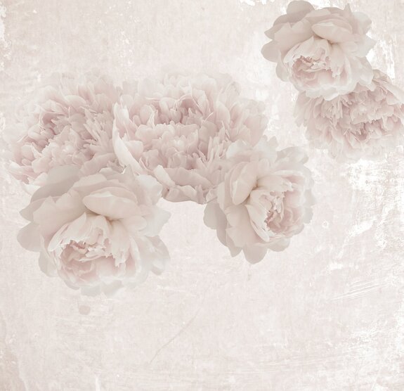 Pivoines aux couleurs pastel sur fond structuré