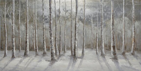 Paysage d&#39;arbres dans une forêt d&#39;hiver