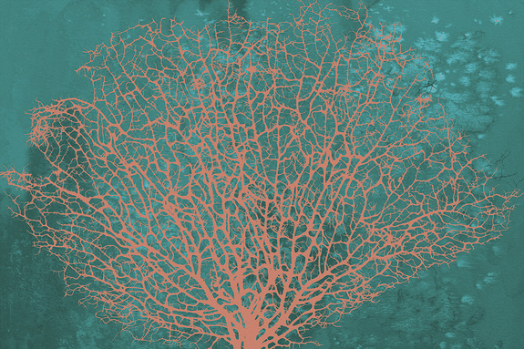 Coraux sur fond turquoise