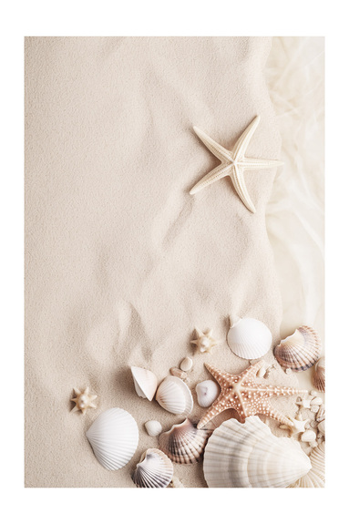 Coquillages et étoiles de mer sur une plage de sable