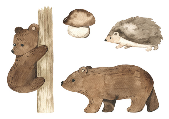 Animaux de la forêt à l'aquarelle