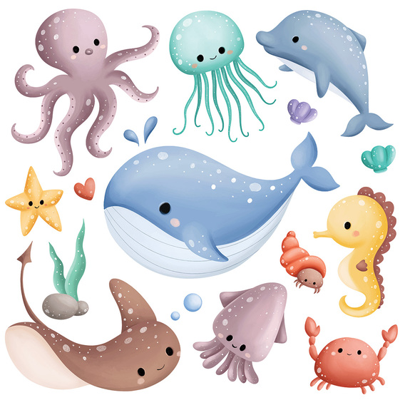 Animaux marins colorés