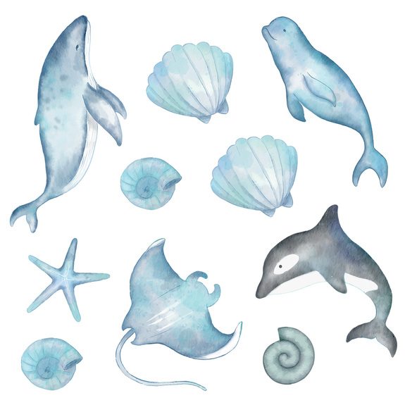 Animaux marins baleine dauphin orque et étoile de mer