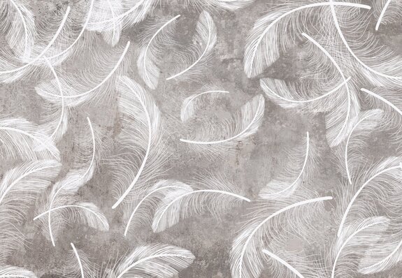 Plumes blanches sur fond béton gris style loft