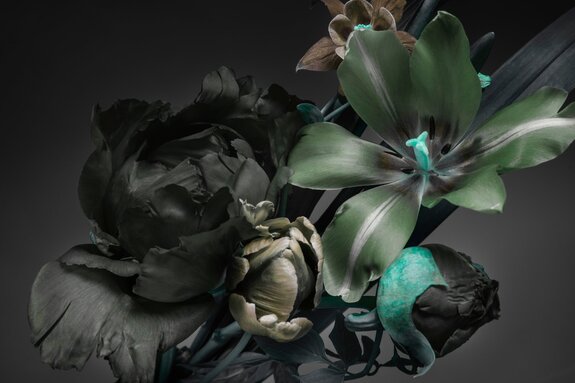 Lys et pivoines fleurs sur fond sombre