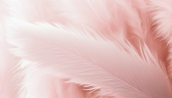 Gros plan de plumes roses sur fond pastel