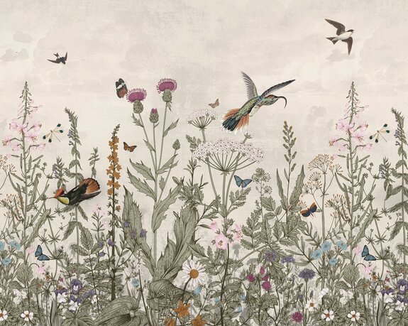Prairie fleurie et oiseaux paysage
