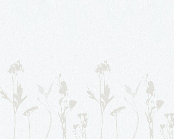 Fleurs sauvages délicates dans un style minimaliste sur fond clair