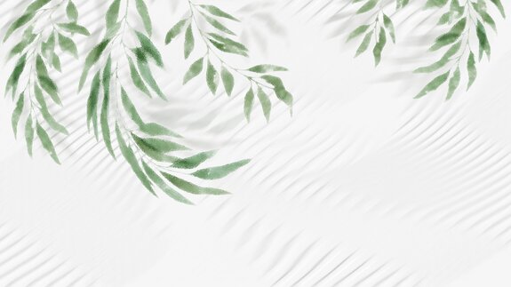 Feuilles vertes suspendues du haut sur fond blanc