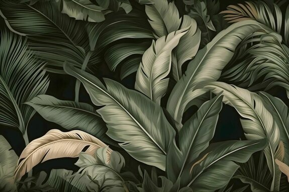 Grandes feuilles de bananier sur fond sombre