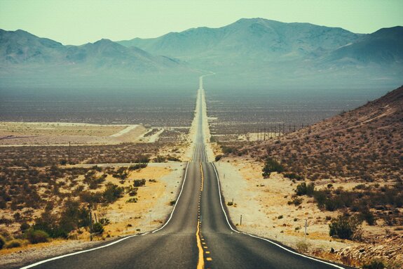 Route asphaltée parmi la végétation désertique