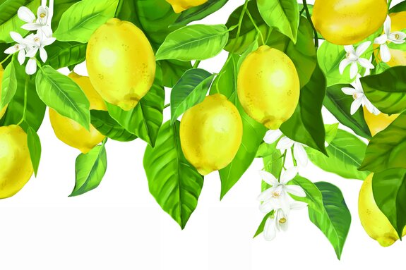 Citrons sur un arbre feuillu avec des fleurs