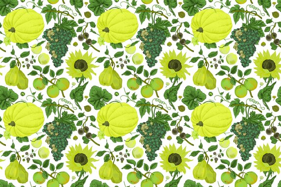 Citrons parmi les raisins et les tournesols