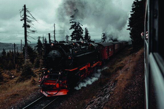 Locomotive sur les rails au milieu de la forêt