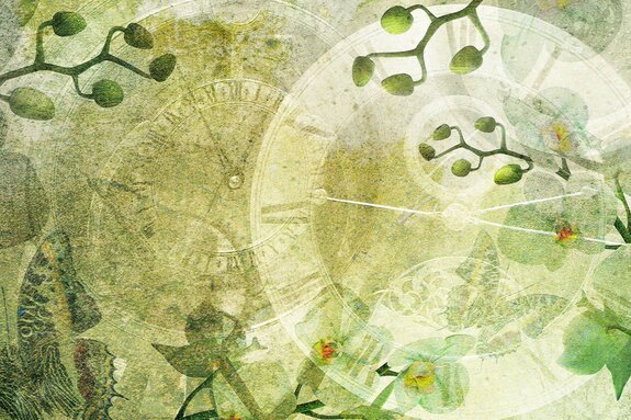 Horloges rétro parmi les fleurs d'orchidée