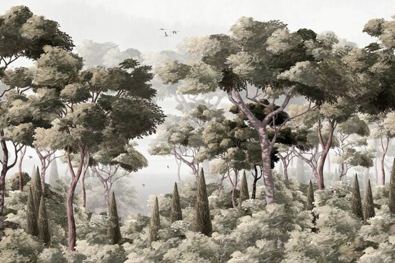 Forêt avec végétation luxuriante et arbustes