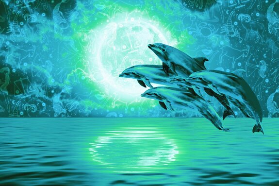 Dauphins sautant sous la pleine lune