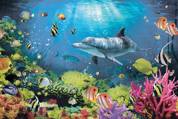 Monde sous-marin du récif avec des poissons colorés