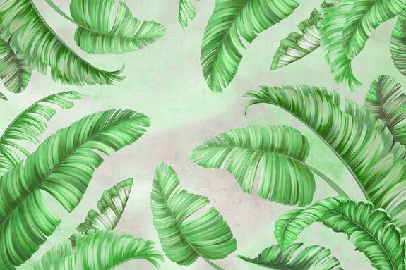 Feuilles de palmier vertes sur béton