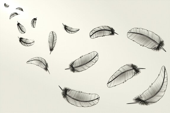 Plumes noires peintes sur fond clair