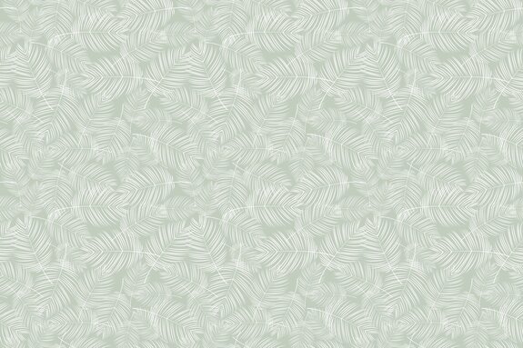 Feuilles délicates de palmier sur fond clair