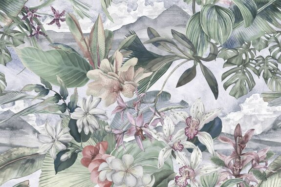 Orchidées parmi la végétation tropicale