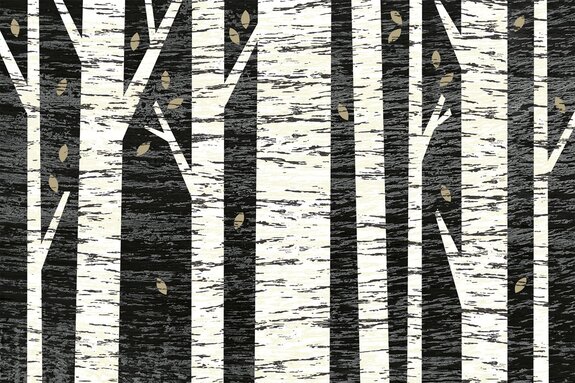 Forêt de bouleaux sur fond noir