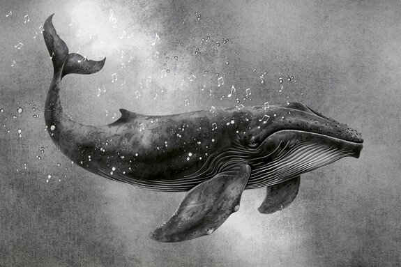 Motif en noir et blanc chant de la baleine et notes musicales
