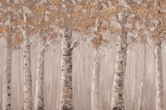 Forêt de bouleaux dans un paysage pittoresque