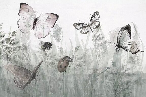 Papillons et une coccinelle dans une prairie d'été, paysage avec insectes et plantes