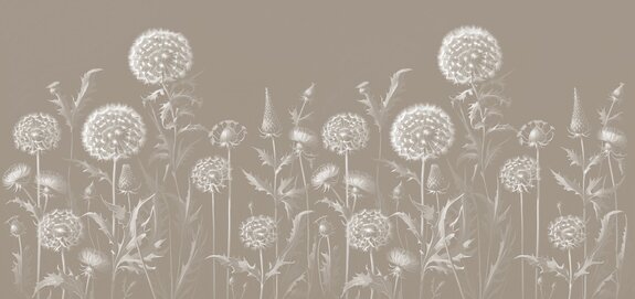 Pissenlits blancs et fleurs sauvages sur fond beige, motif botanique