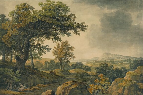 Collines pittoresques avec une végétation luxuriante