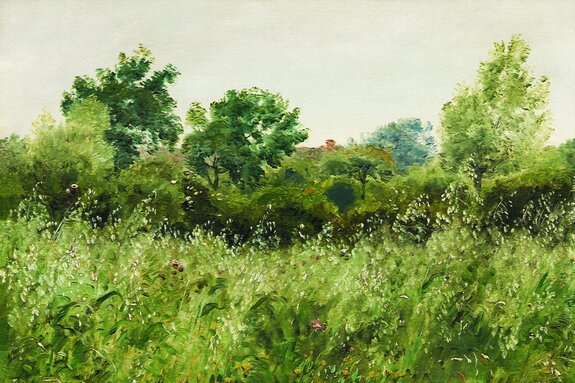 Motif forestier peint avec des arbres et des herbes