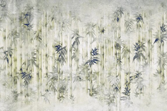 Arbres de bambou avec des feuilles dans la brume